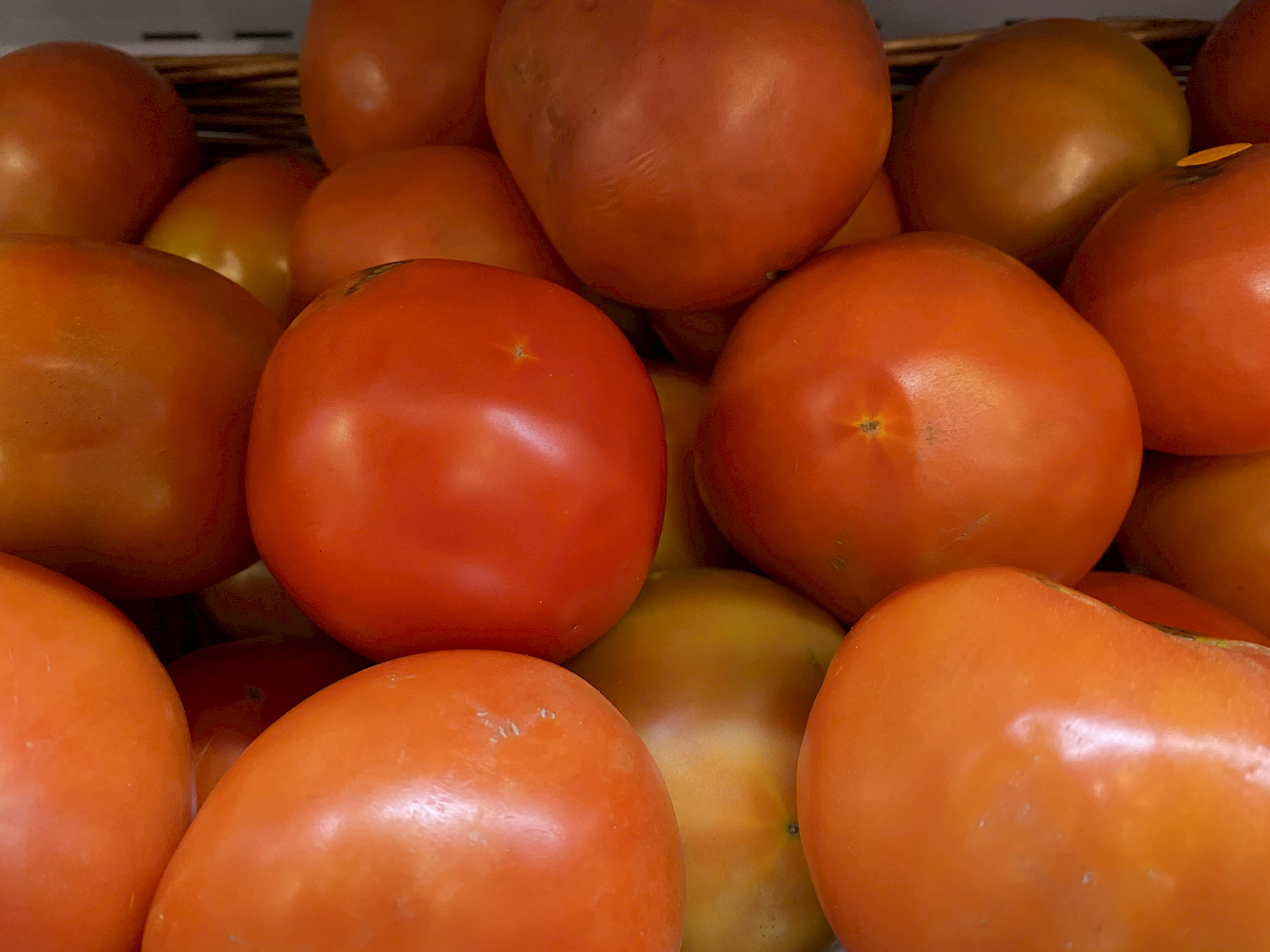 Tomate - Fruto de la planta Solanum lycopersicum