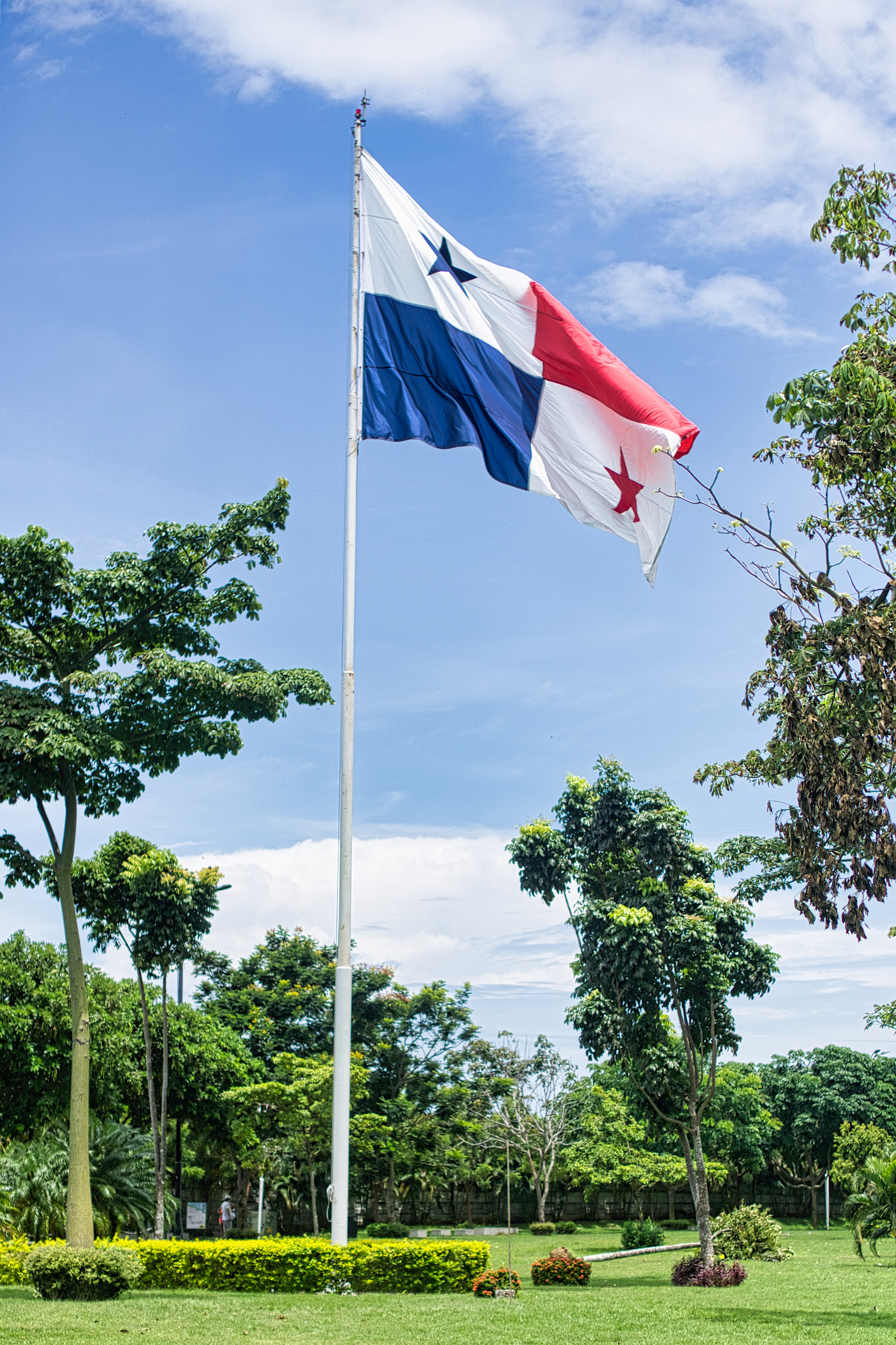 Bandera Panameña sobre grama en Cinta Costera. Día Soleado aunque con algunas nubes de lluvia.